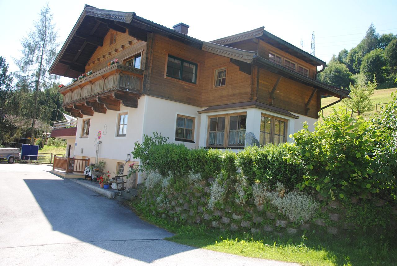 "Opa Sepp" - Gartenwohnung Niedernsill Exterior photo